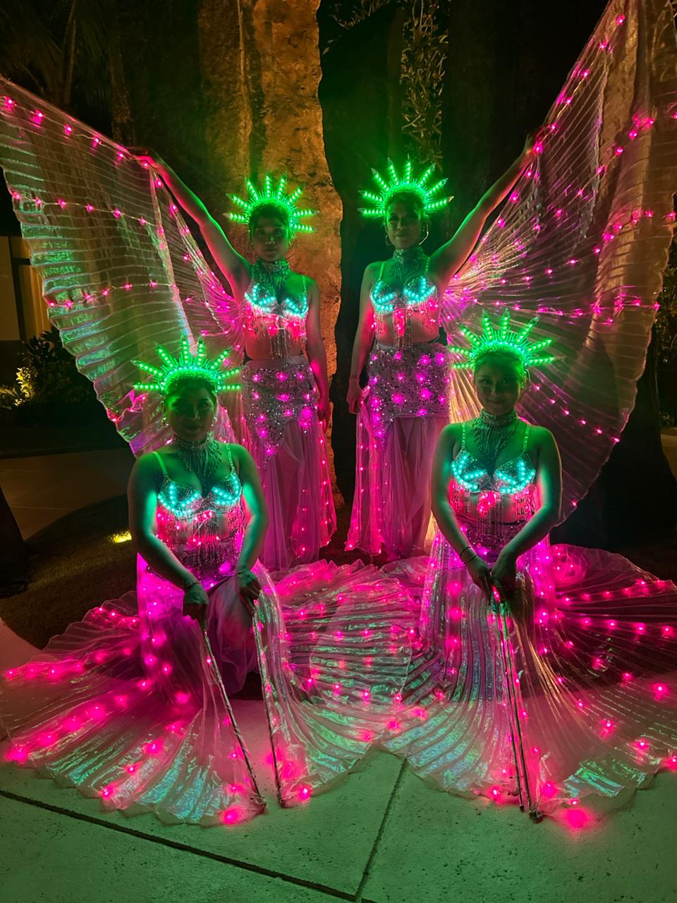 Led Dance Butterfly